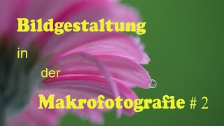 Bildgestaltung in der Makrofotografie 2 [upl. by Dunseath598]