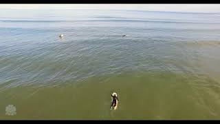 Saltburn Surf [upl. by Ruthe92]