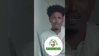 New Eritrean Sitcom Daero Rigbi gebela eritrean shortfilms habesha eritrea [upl. by Thetisa]