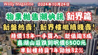 新盤熱賣但二手價賤拋售不停（新界篇）：持13年一手貨蝕逾3成、嘉湖山莊呎價6千5、半新樓持7年蝕32、頻現屋苑創新低個案！ [upl. by Linet459]