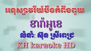 អនុស្សាវរីយ៍បឹងកំពីងពួយភ្លេងសុទ្ធអកកាដង់ខារ៉ាអូខេ ស៊ុនស្រីពេជ្រKH karaoke HD [upl. by Skylar]