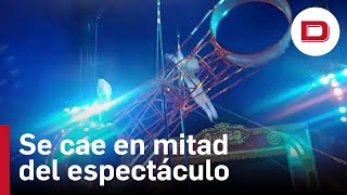 Un trapecista del Circo Quiros cae desde una altura de 7 metros en mitad del espectáculo [upl. by Alford]