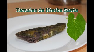 Tamales de hierba santa [upl. by Netsrak318]