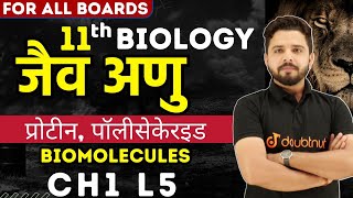 जैव अणु Biology in Hindi Class 11  Polysaccharides Structure and Function  Protein Class 11th  L5 [upl. by Odeen]