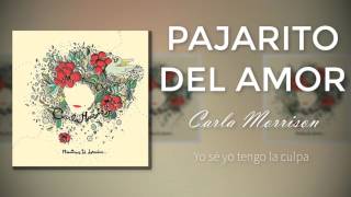 Carla Morrison Pajarito del Amor Letra [upl. by Lymn]