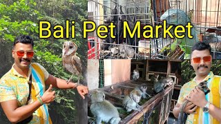 Bali Pet Market in tamil [upl. by Whitaker]