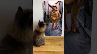 Cat reaction to T REX Dinosaur Destruction in the old alley Skibidi Toilet Song [upl. by Tak]