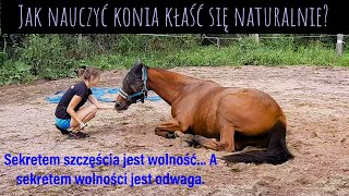 JAK NAUCZYĆ KONIA KŁAŚĆ SIĘ W SPOSÓB NATURALNY  Końskie sztuczki [upl. by Asecnarf]