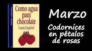 312 Audiolibro Como Agua para Chocolate de Laura Esquivel  Marzo  Codornices en pétalos de rosas [upl. by Milt150]