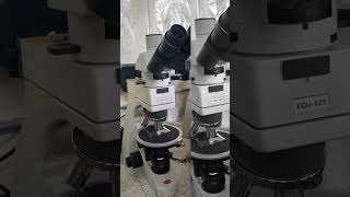 In training 🔬✨️🫶 ongod intraining microscope gold [upl. by Druci]