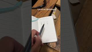 grafología lazos en letras [upl. by Hollerman375]