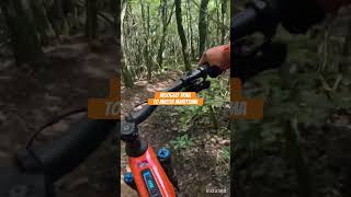 Insoglio trail to Monte Arsenti ebike mtb enduro dh insogliotrail massamarittima [upl. by Cofsky]