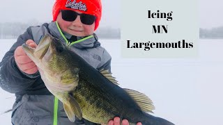 Icing MN Largemouths [upl. by Aihsit904]