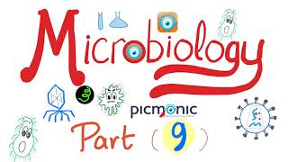 Microbiology Gram   Campylobacter jejuni Vibrio cholera Ecoli Klebsiella  Picmonic Part 9 [upl. by Hilaire976]