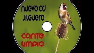 Cd Jilguero Cante Limpio [upl. by Ahseiuqal874]