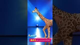 rap magic hiphop shorts human 🚶‍♀️transform into Giraffe🦒 Americas got talent giraffe 🦒🦒🦒 [upl. by Hakkeber]