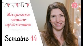 14ème semaine de grossesse – A qui demander des conseils [upl. by Sharai]