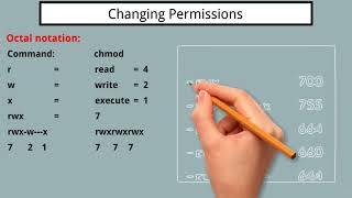 19 Changing file permissions [upl. by Cassondra544]