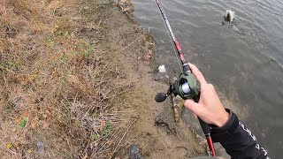 Fall Bass Fishing  Catching GIANT Fish ALL DAY [upl. by Aisitel]