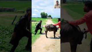 😱😱😱 क्या गज़ब का शॉट मरा भाई ने 😂🤣🤣reels funny comedy trending viralvideo shorts funny 😂😂🤣 [upl. by Aenat660]