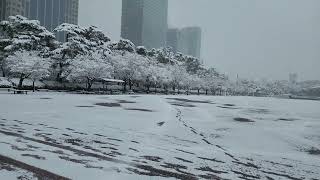 Seoul snow [upl. by Ayin69]