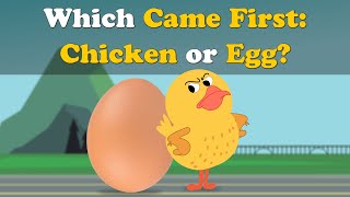 Which Came First  Chicken or Egg  more videos  aumsum kids science education children [upl. by Hoehne]