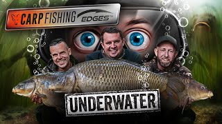 🎣 🤿 4 hours of mind blowing UNDERWATER action 🤯  Fox Carp Fishing Edges Underwater FULL FILM [upl. by Pardew920]