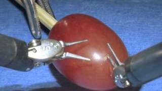 da Vinci Surgical System Surgery on a grape [upl. by Dorie522]