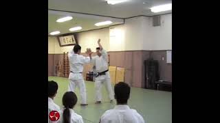 Film 13 Sakai Sensei Shodokan Aikido Osaka 2010 [upl. by Rehsu]