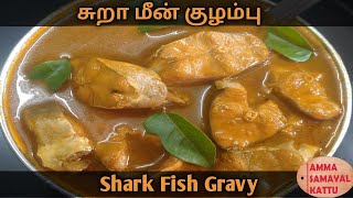 சுறா மீன் குழம்பு  Shark Fish Gravy  Sura Meen Kuzhambu in easyway  Amma Samayalkattu [upl. by Fulviah]