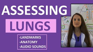 Lung Auscultation Landmarks Sounds Placement Nursing  Assessing Lungs Part 1 [upl. by Odelle753]