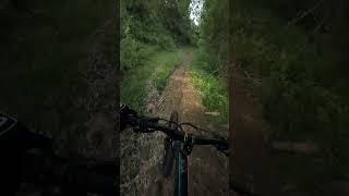 Exploring Kabankalan city natural mtb trails [upl. by Afatsuom]