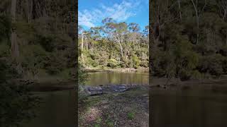 Warrandyte State Park  VIC Australia park lake river camping hike asmr relax outback [upl. by Louie]