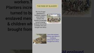 Plantation in Caribbean  sugarcane  slavery shortsvideo caribbeanhistory [upl. by Meekahs809]