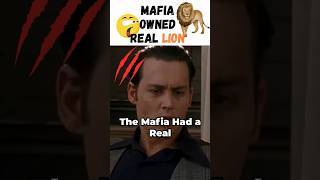 The Mafia Owned A Real Lion Like in Donnie Brasco shorts short [upl. by Fugazy814]