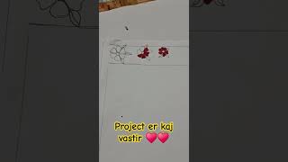 Project er kaj [upl. by Ardnazxela]