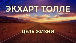 Экхарт Толле  ЦЕЛЬ ЖИЗНИ Лекции 05 Nikosho [upl. by Naujd]