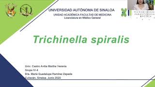 8Trichinella spiralis [upl. by Ramsey]