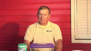 Mice Pest Control  How to Get Rid of Mice With Ammonia [upl. by Tadich150]