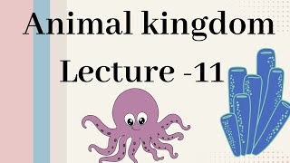 Mollusca  Animal kingdom Lecture  11 [upl. by Liagaba823]