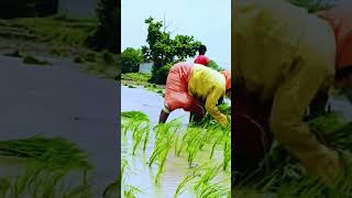 village people songs viral hineshjvm song [upl. by Fancy]