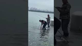 Amazing Fish catching video [upl. by Emarej]