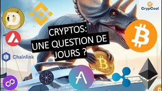 Investir 5 de don portefeuille dans lécosystème cryptos 031124 [upl. by Diarmid]