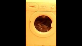 Edesa Washing Only Video [upl. by Tyne778]