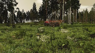 FS22  Forestry on Karhuvaara  finishing the cut area  EP09 [upl. by Daryl]