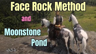 A Look at the Face Rock Method for Getting an Early Game Missouri Fox Trotter  RDR2 [upl. by Anwahsat]