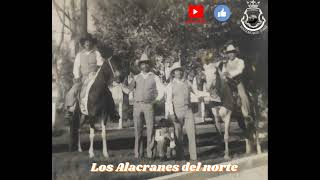 Baltazar Bujanda Los Alacranes Del Norte De Teo Ramirez [upl. by Tnomel]