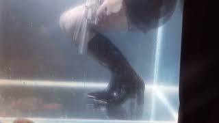 TRAILER Soaked 750 Alexander Wang Mascha boots in water [upl. by Annej972]