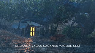 Ormanda Yağan Sağanak Yağmur Sesi  \u00100 Uyku İçin Derin Meditasyon [upl. by Biamonte]