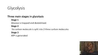 Biochemistry SimplifiedGlycolysis [upl. by Lidstone782]